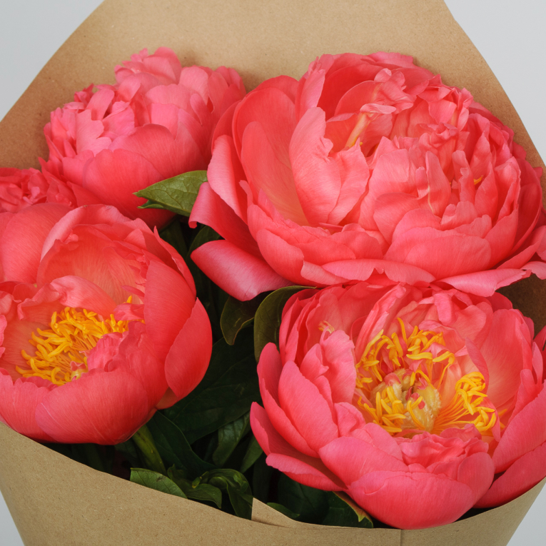 Букет 5 пионов В порыве чувств