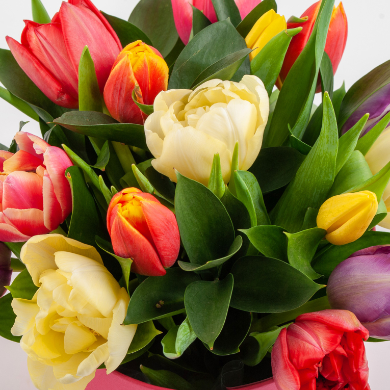 Букет в коробке Девушки весной (15 тюльпанов)