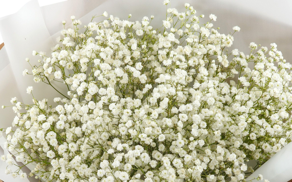 Букет Миллион звезд + торт «Наполеон» (300 г)