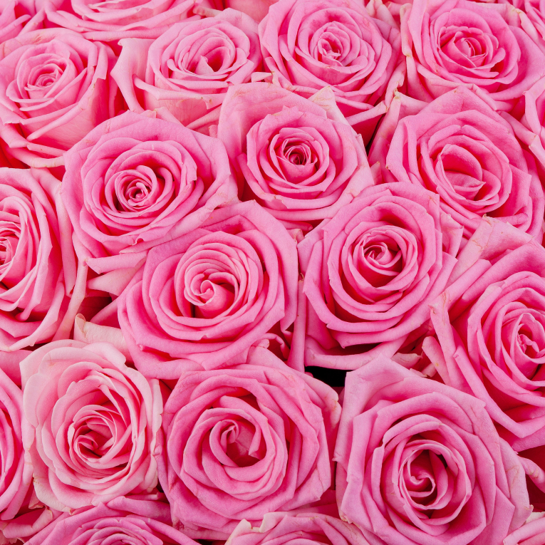 Букет в голубой коробке Жар сердца (101 роза)