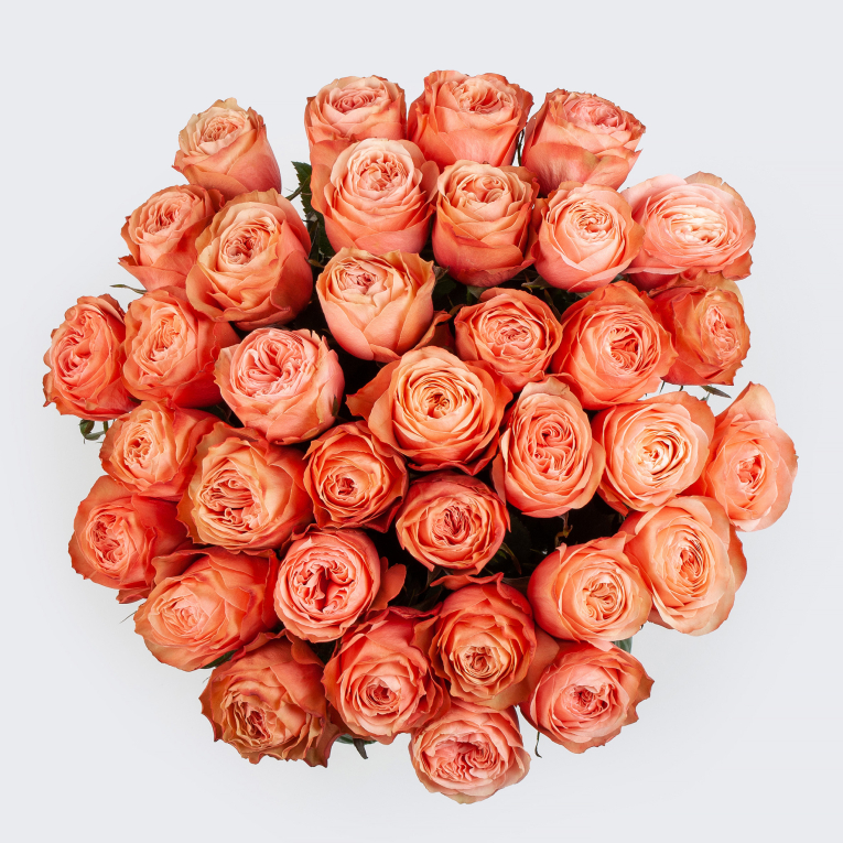 Букет 35 роз Кахала (Эквадор), 50 см