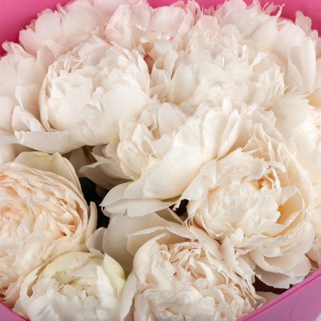 Букет из 15 пионов Песня ангела