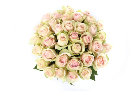 Букет 35 роз Ла Бель