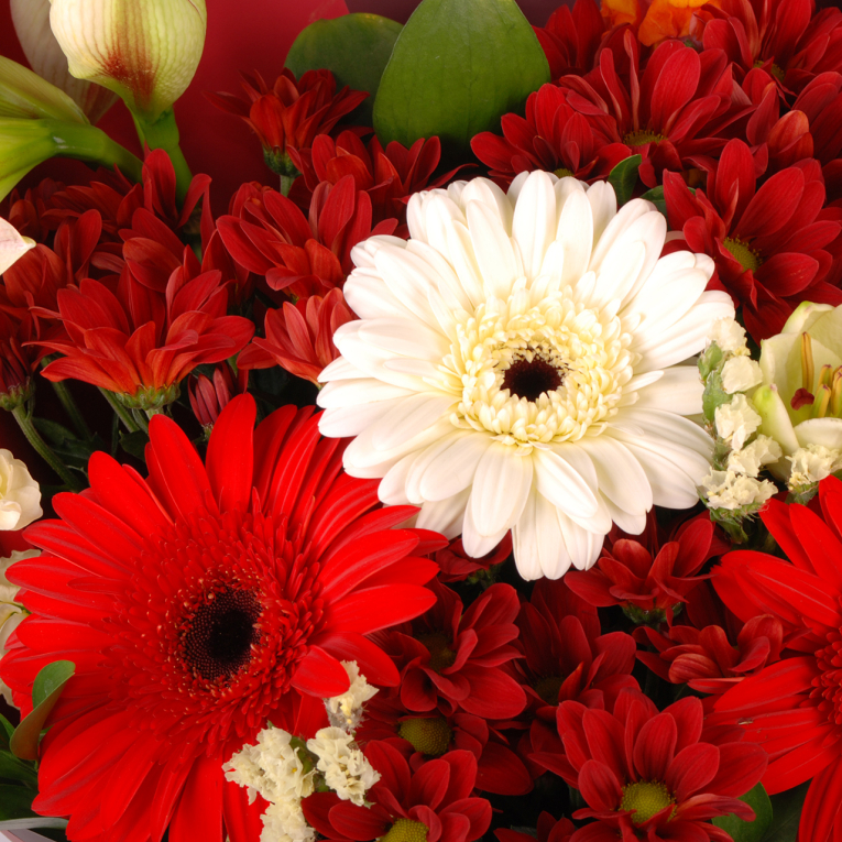 Букет Соблазн