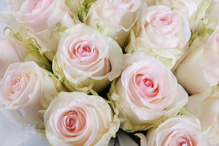 Букет Сонет о любви