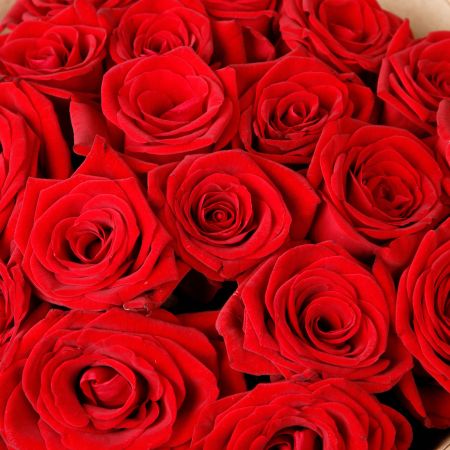 Букет 19 роз Идеальное свидание