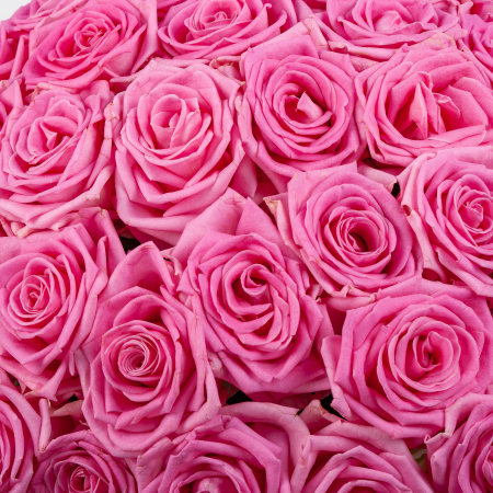 Букет в зеленой коробке Жар сердца (51 роза)