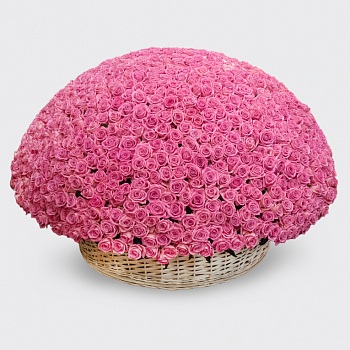 Букет 1001 роза Аква в корзине