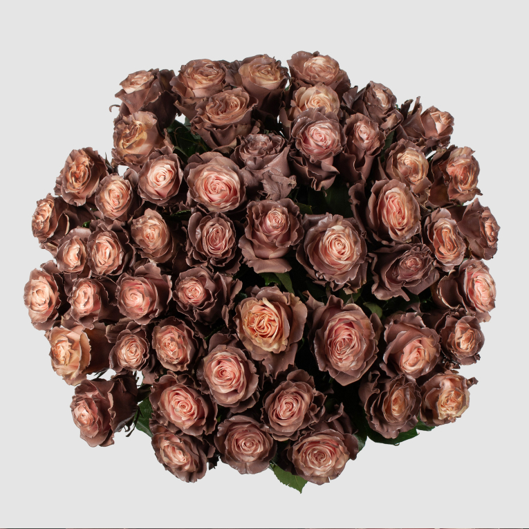 Букет 51 роза Кофе со сливками