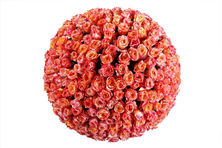 Букет 301 роза Фри Спирит в корзине