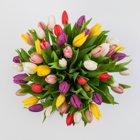 Букет 51 тюльпан в красной коробке Нежные объятия