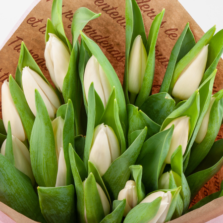 Букет 15 тюльпанов Слова любви, белые