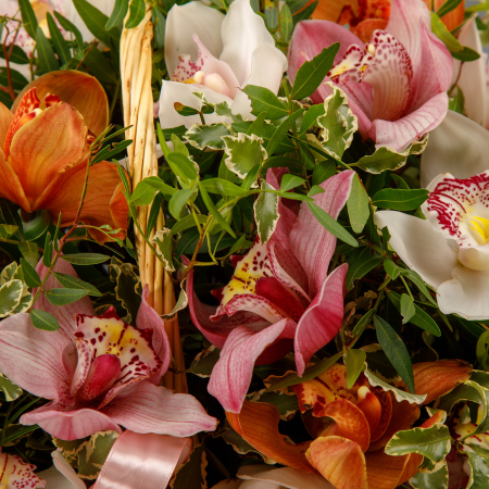 Букет с орхидеями в корзине Все о Еве