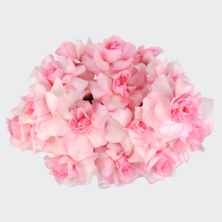 Букет в коробке Розовый шелк