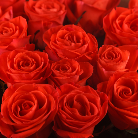 Букет из 35 роз Все начинается с любви