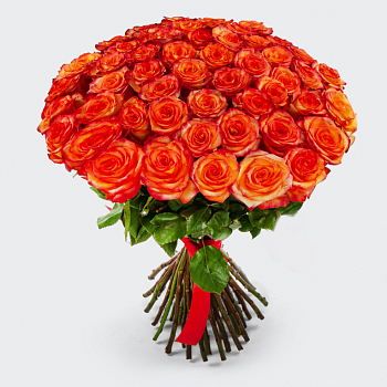 Букет 51 роза Хай Мэджик