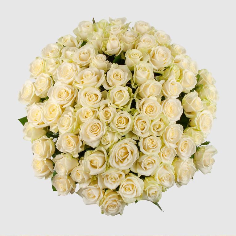 Букет из 75 роз Восторг любви