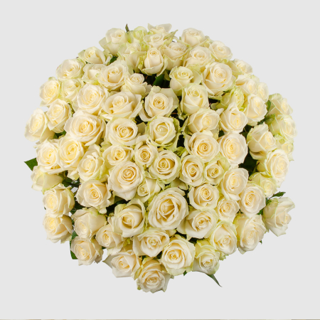 Букет из 75 роз Восторг любви