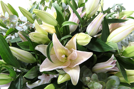 Букет с лилиями Шарм и Шик