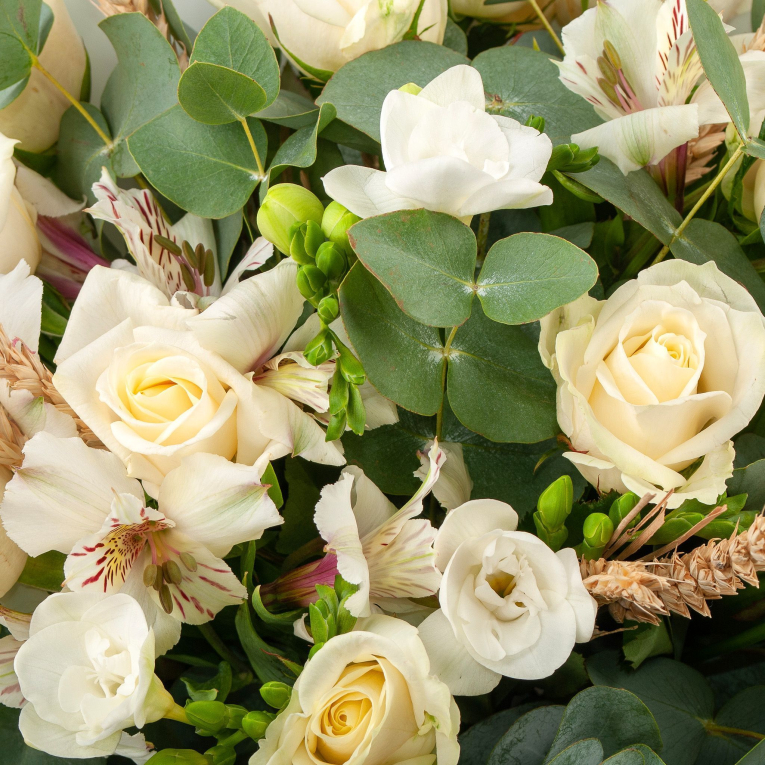 Букет Мой гений