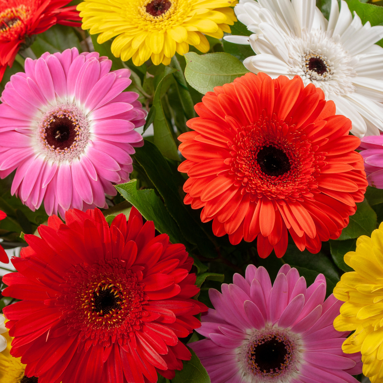 Букет в корзине Раскраска