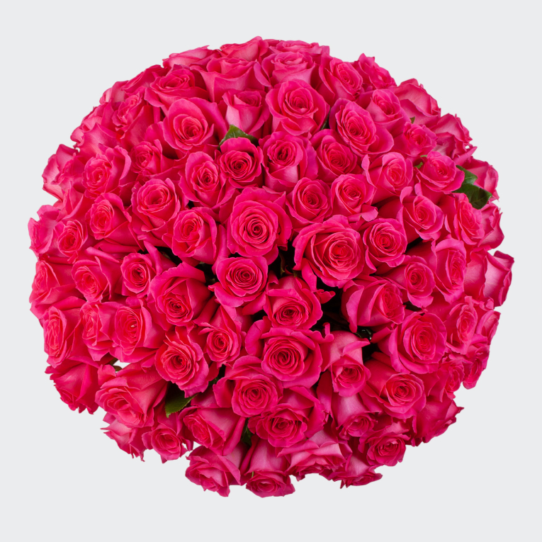 Букет 75 роз Пинк Флойд (Эквадор), 60 см