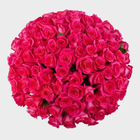Букет 75 роз Пинк Флойд (Эквадор), 60 см