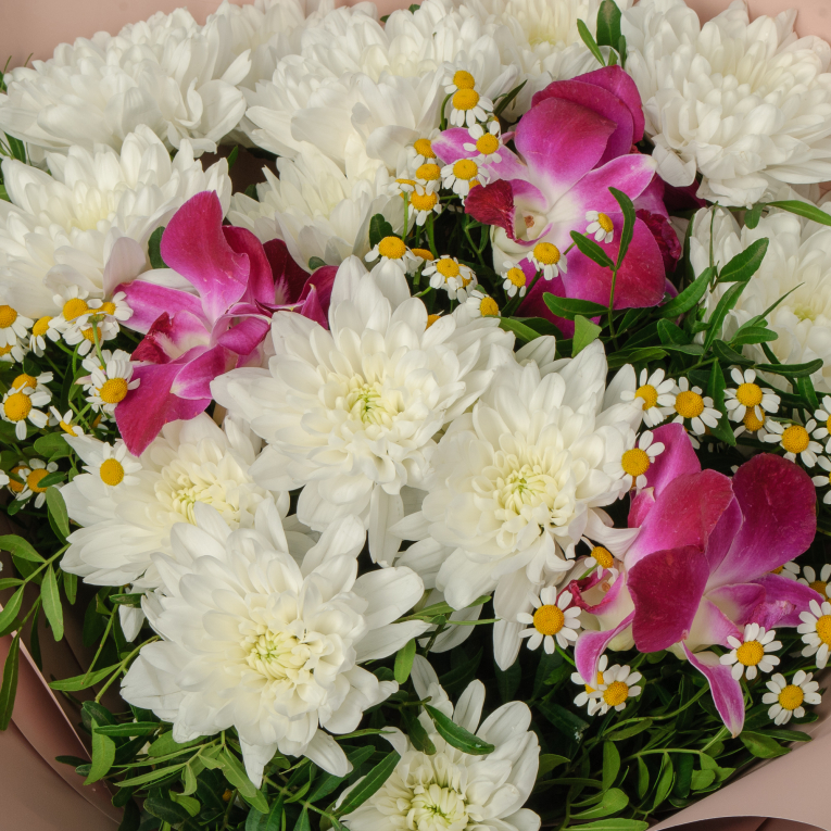 Светлый поцелуй природы