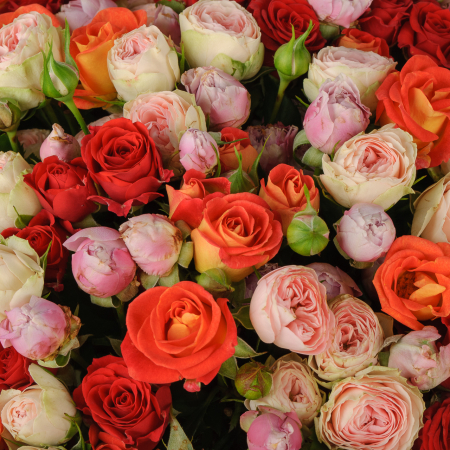 Букет из кустовых роз Королевское величие