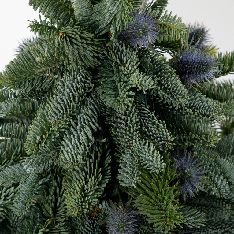 Композиция Елочка