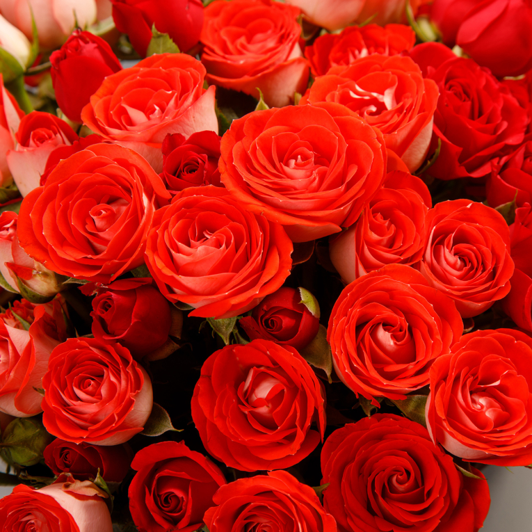 Букет в коробке Магия огня