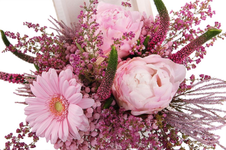 Композиция Розовая фея в кашпо