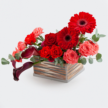 Композиция в кашпо Жаркие страны