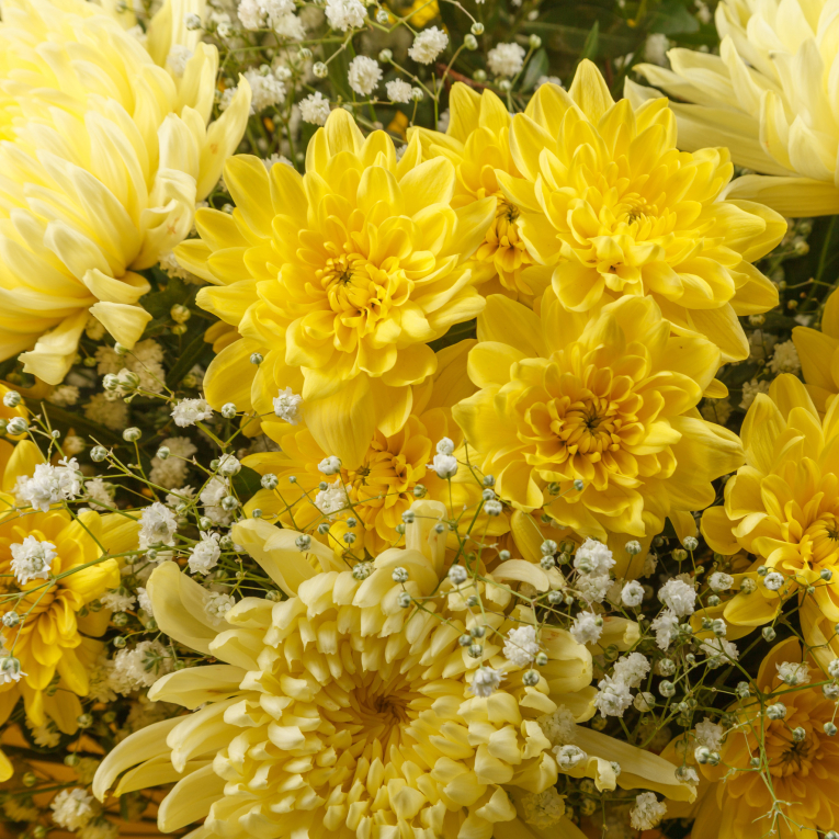 Букет Желтый бархат (макси)