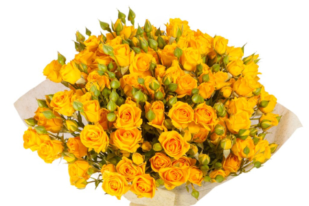 Букет 15 кустовых роз Еллоу