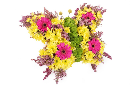 Бабочка Лимонница