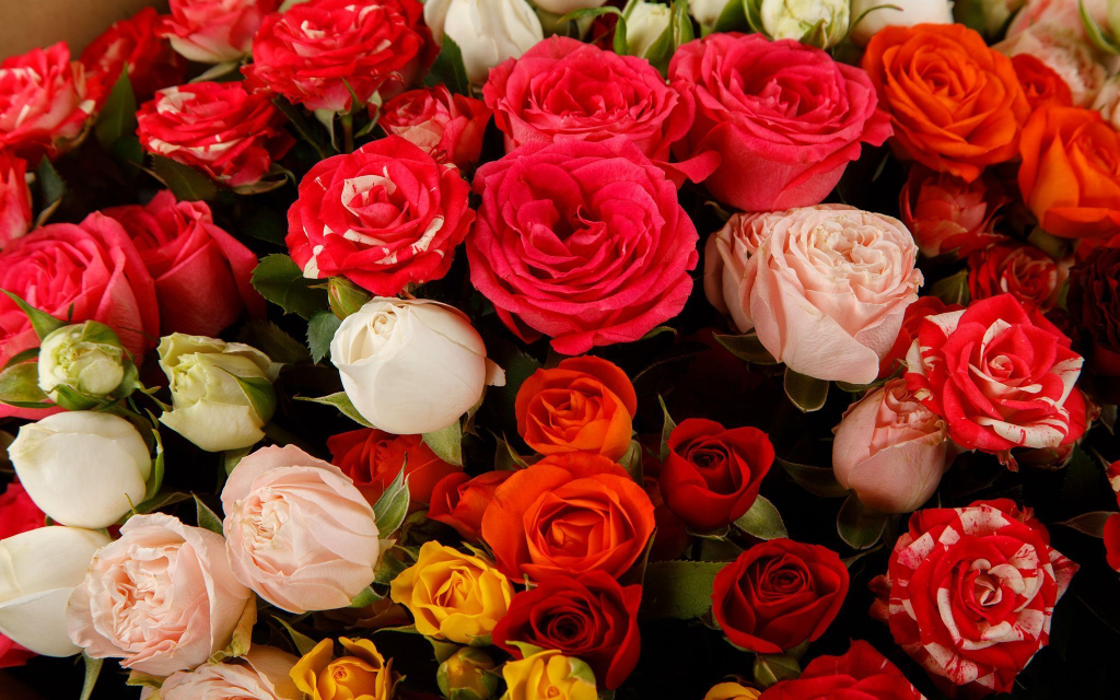 Букет роз Цветная карамель