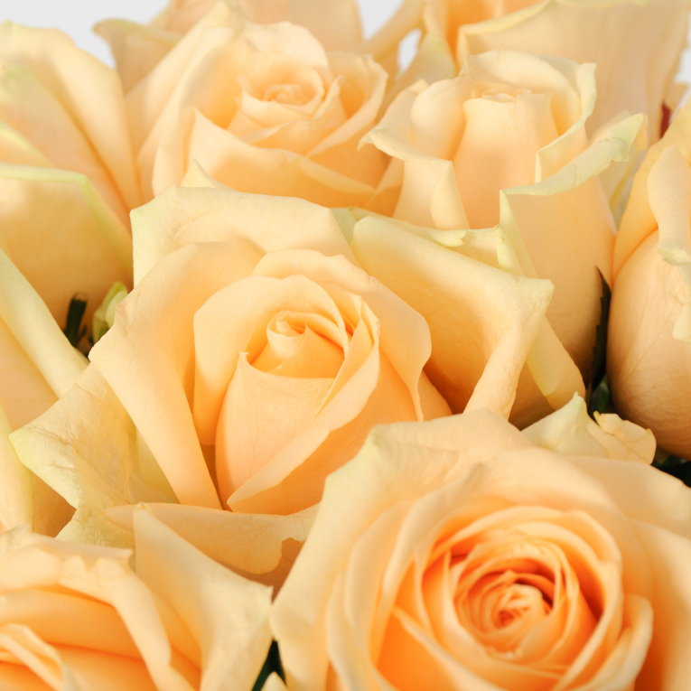 Букет 11 роз Пич Аваланш