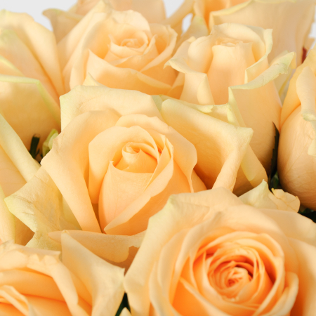 Букет 11 роз Пич Аваланш