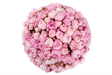 Букет из пионов 101 комплимент