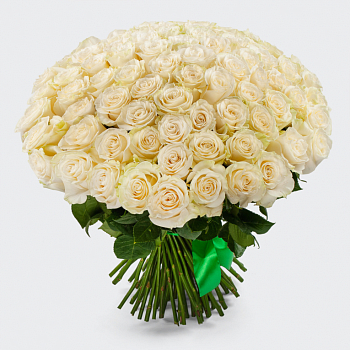 Букет 75 роз Мондиаль (Эквадор), 60 см