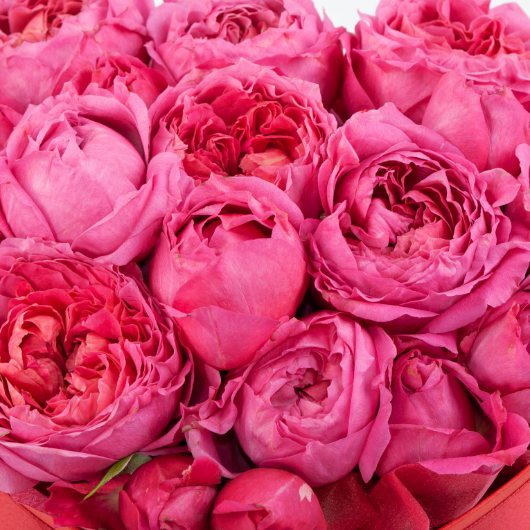 Композиция Розовый рай