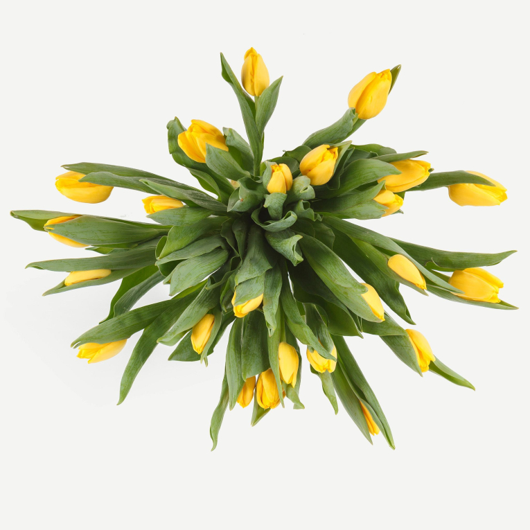 Букет тюльпанов Милая девочка