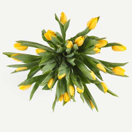 Букет тюльпанов Милая девочка