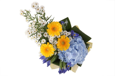 Букет Дебют