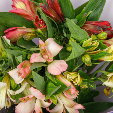 Букет Затерянный мир (5 альстромерий)