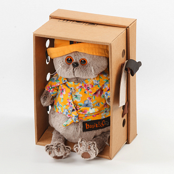 Кот Басик в панаме
