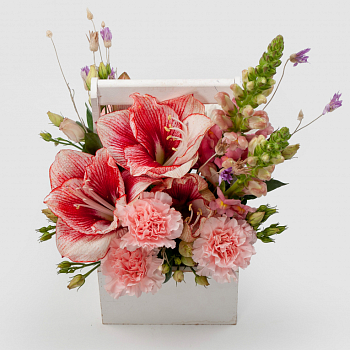 Букет в кашпо Малиновый свет