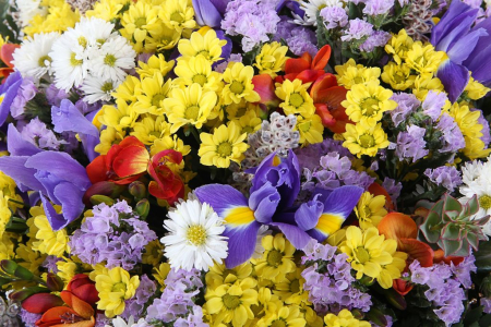 Букет Цветок папоротника