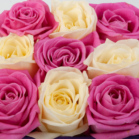 Розы в коробке Игра любви